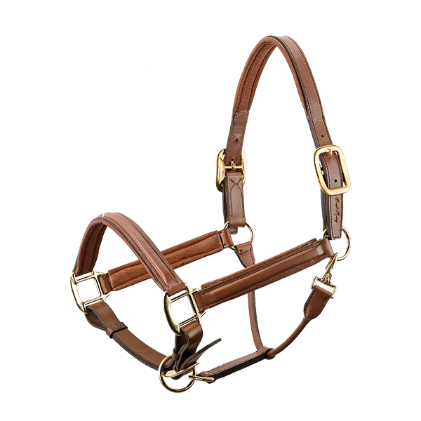 Adjustable Padded Halter